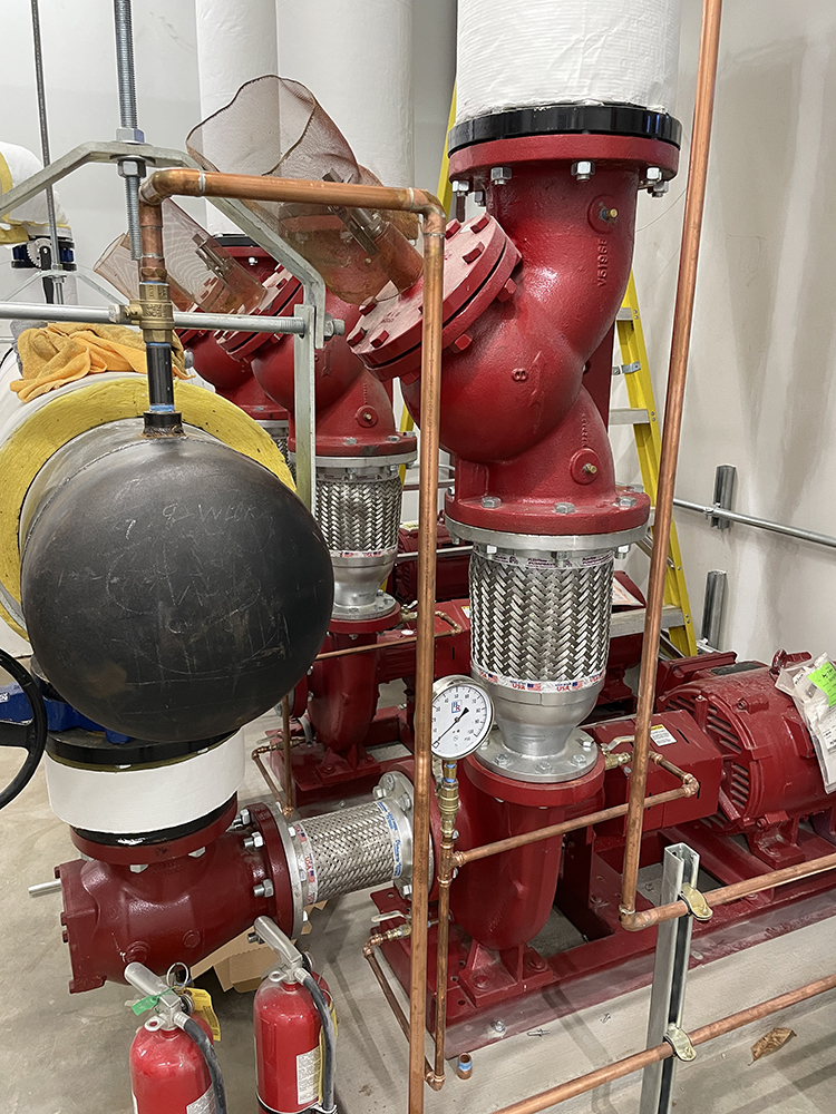 The Westminster Schools