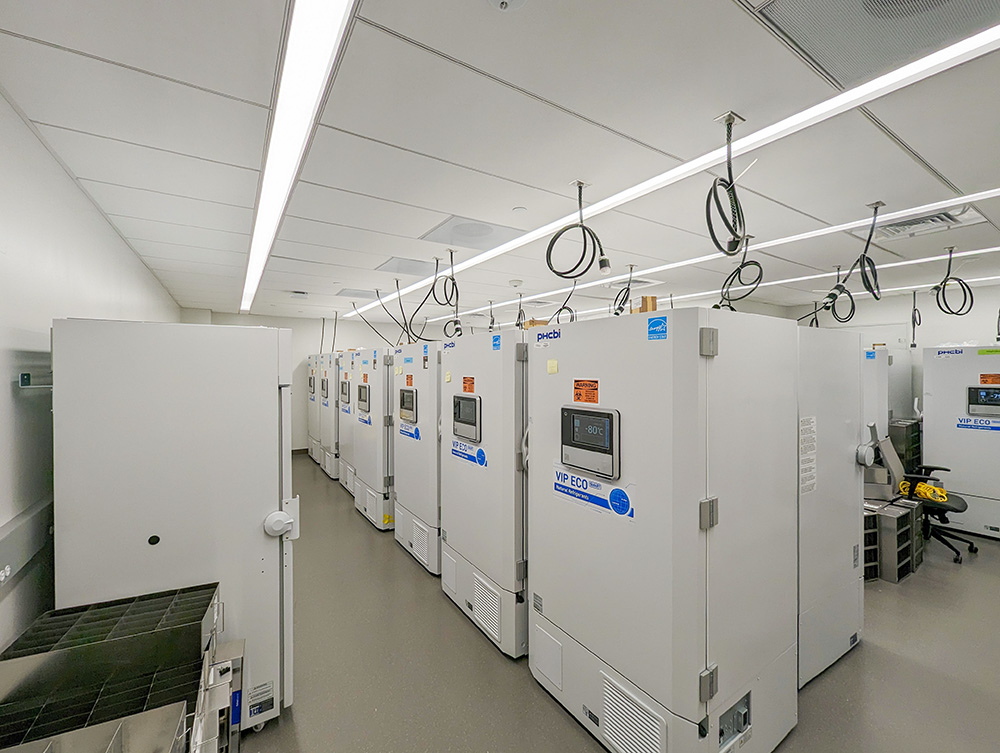 Alexion Pharmaceuticals